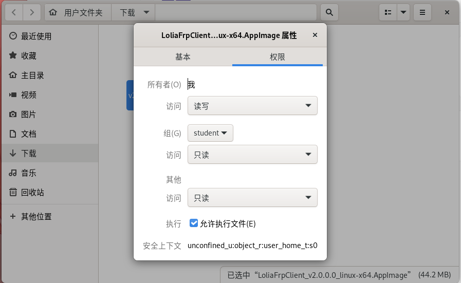 已允许执行