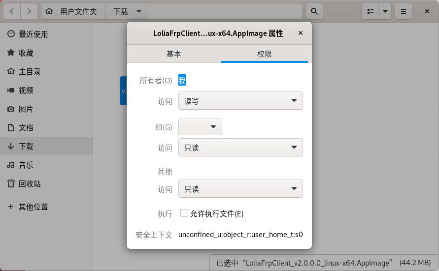 勾选允许执行文件