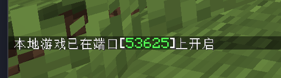 局域网创建成功